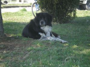 Прикачена снимка