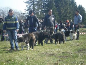 Прикачена снимка