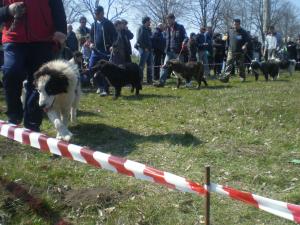 Прикачена снимка