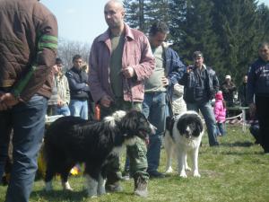 Прикачена снимка