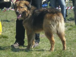 Прикачена снимка