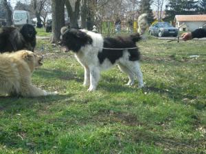 Прикачена снимка