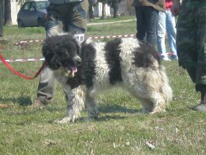 Прикачена снимка