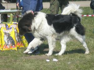 Прикачена снимка