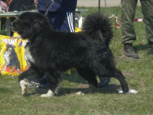 Прикачена снимка