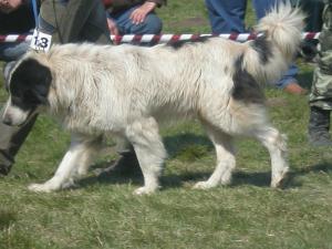 Прикачена снимка