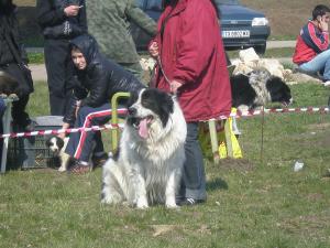 Прикачена снимка