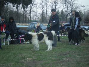 Прикачена снимка