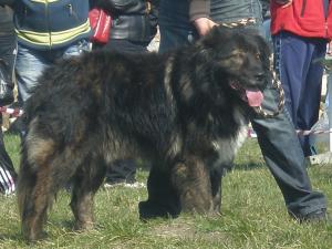 Прикачена снимка