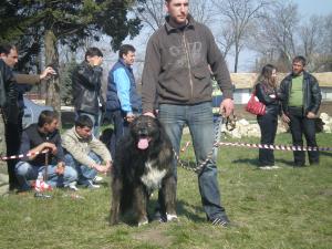 Прикачена снимка