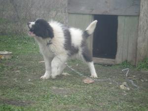 Прикачена снимка