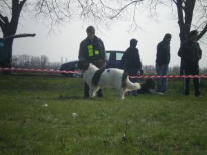 Прикачена снимка