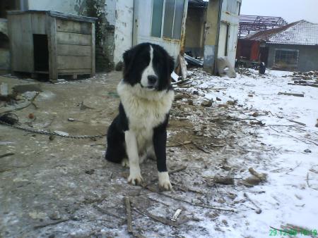 Прикачена снимка