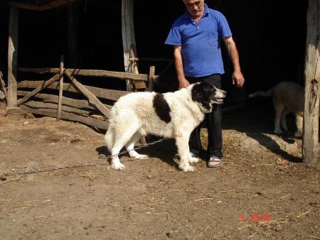 Прикачена снимка