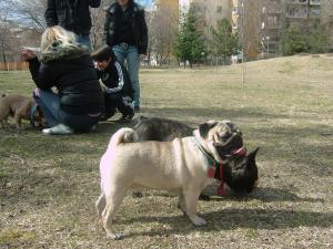 Прикачена снимка
