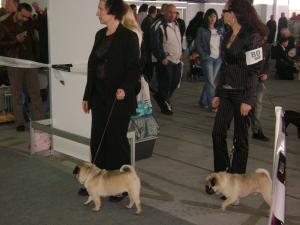 Прикачена снимка