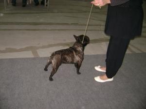 Прикачена снимка