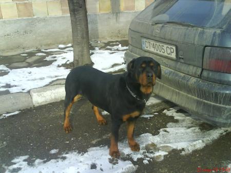 Прикачена снимка