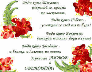 Прикачена снимка