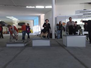 Прикачена снимка