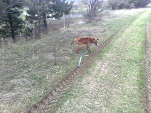 Прикачена снимка