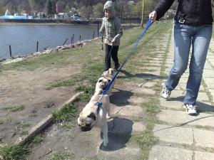 Прикачена снимка
