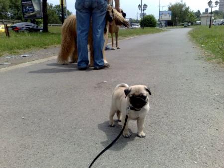 Прикачена снимка