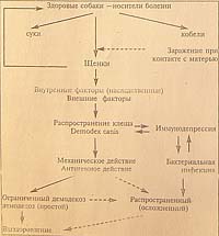 Прикачена снимка