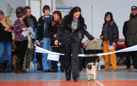 Прикачена снимка