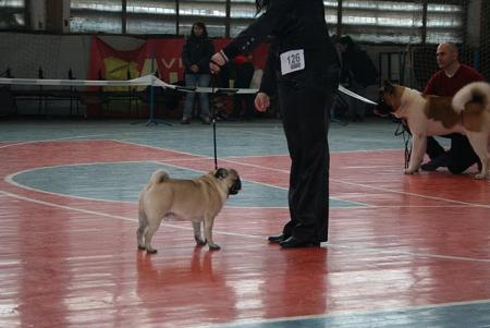 Прикачена снимка