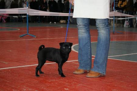 Прикачена снимка