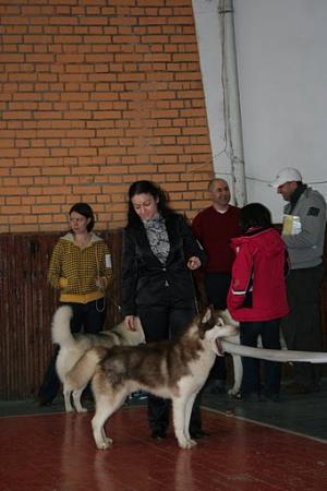 Прикачена снимка