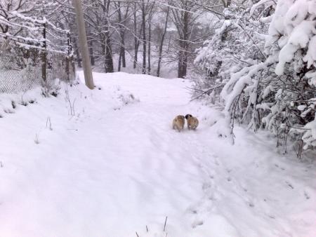 Прикачена снимка