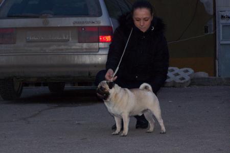 Прикачена снимка