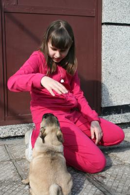 Прикачена снимка