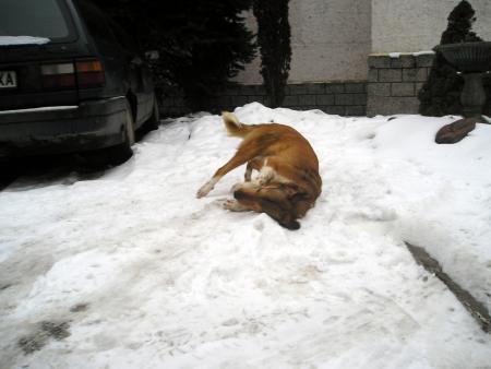 Прикачена снимка