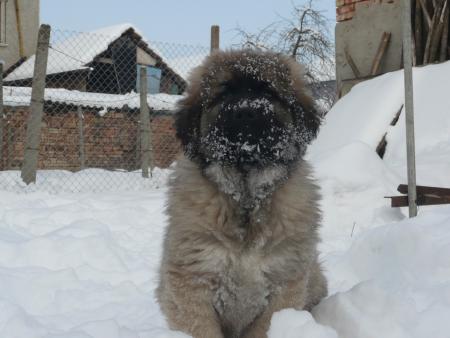 Прикачена снимка