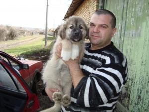 Прикачена снимка