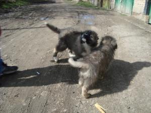 Прикачена снимка