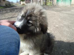 Прикачена снимка