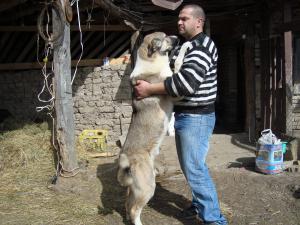 Прикачена снимка