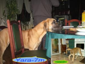 Прикачена снимка