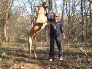 Прикачена снимка