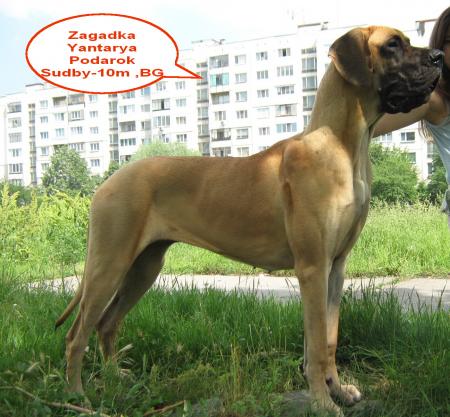 Прикачена снимка