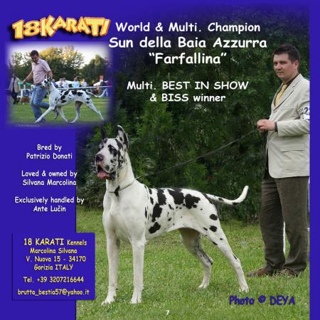 Прикачена снимка