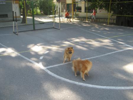 Прикачена снимка