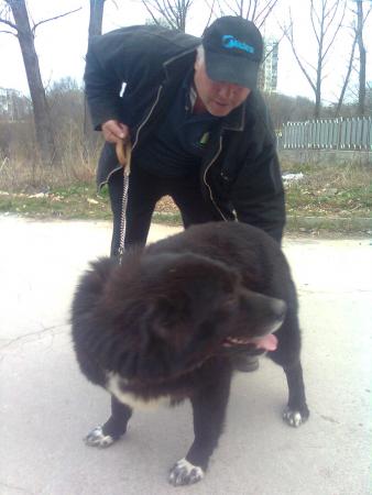 Прикачена снимка