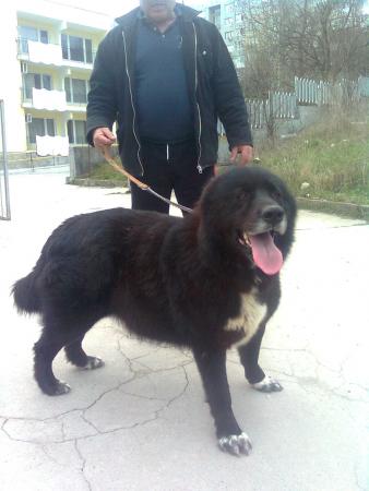 Прикачена снимка