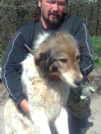 Прикачена снимка