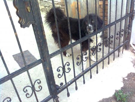 Прикачена снимка